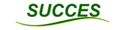Succes