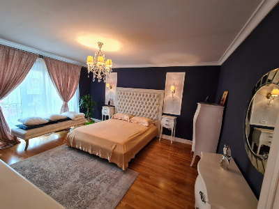 Închiriere *vilă modernă P+1* strada Trandafirilor - cartier Panduraș