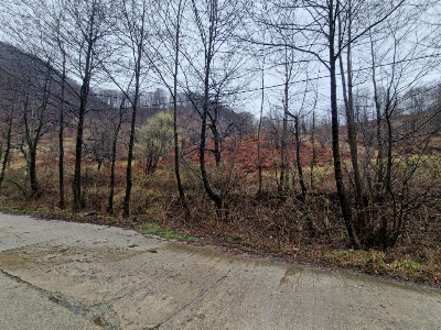 Vânzare teren,  situat în  Comuna Peștișani , sat Gureni - zonă de munte