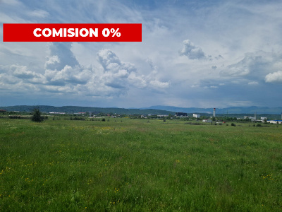 Vânzare teren extravilan situat în Târgu Jiu, strada Ciocârlău