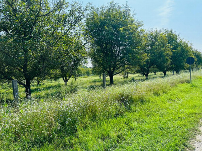 Vânzare teren situat în Târgu Jiu, Calea Tismanei - la DN 67 D