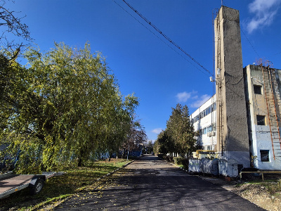 Închiriere complex industrial versatil *hale - birouri - platforme betonate*