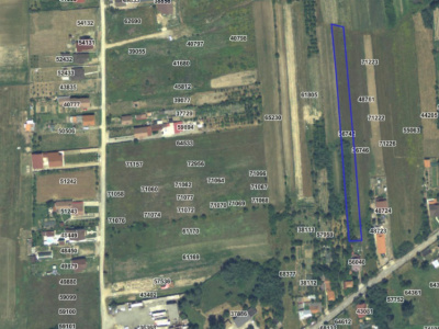 Vânzare teren 6292 mp, situat în cartier Preajba, str. Frăsinetului