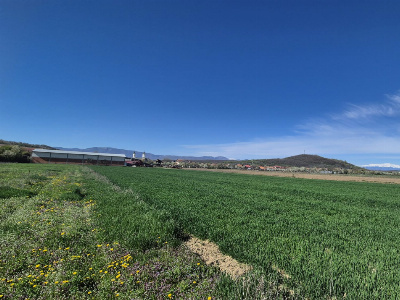 Vânzare loturi teren intravilan 520 mp - Sat Ceauru - la 10 km de Târgu Jiu