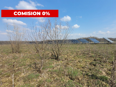 Vânzare teren intravilan, 978 mp, comuna Drăguțești, sat Urechești 