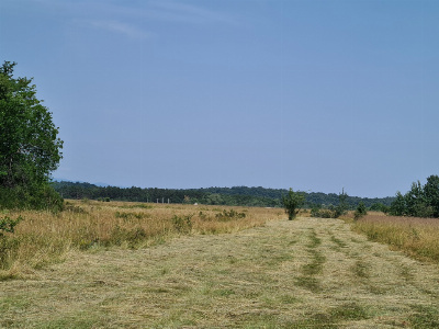Vânzare teren *17,8 ha - front stradal 40 m.l.* Comuna Runcu - Sat Dobrița