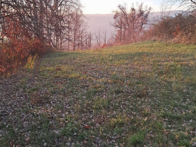 Vânzare teren intravilan 3100 mp – Novaci – ideal investiție turistică 