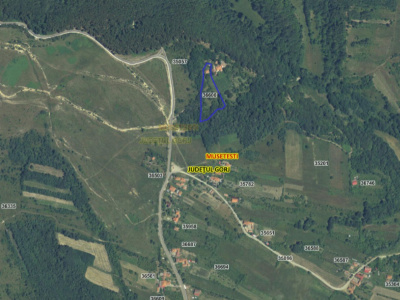Teren generos 4790 mp + casă tradițională, în loc. Mușetești