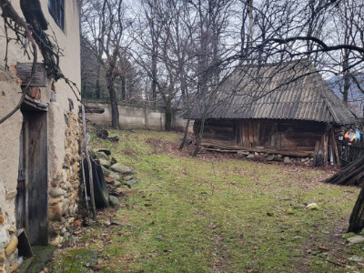 Teren generos 4790 mp + casă tradițională, în loc. Mușetești