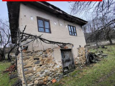 Teren generos 4790 mp + casă tradițională, în loc. Mușetești
