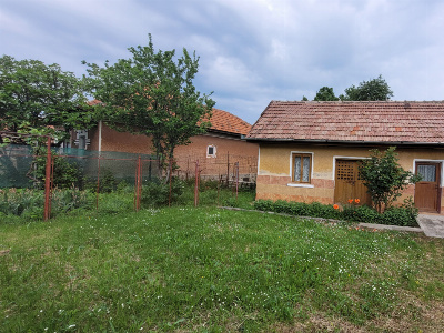 Vânzare casă tradițională, teren generos, sat Bîltișoara, comuna Runcu  