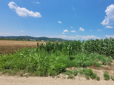 Vânzare teren intravilan, 3504 mp, sat Ceauru, comuna Bălești