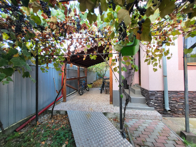 Vânzare casă P+1, teren 605 mp, strada Victor Popescu, zona Kaufland